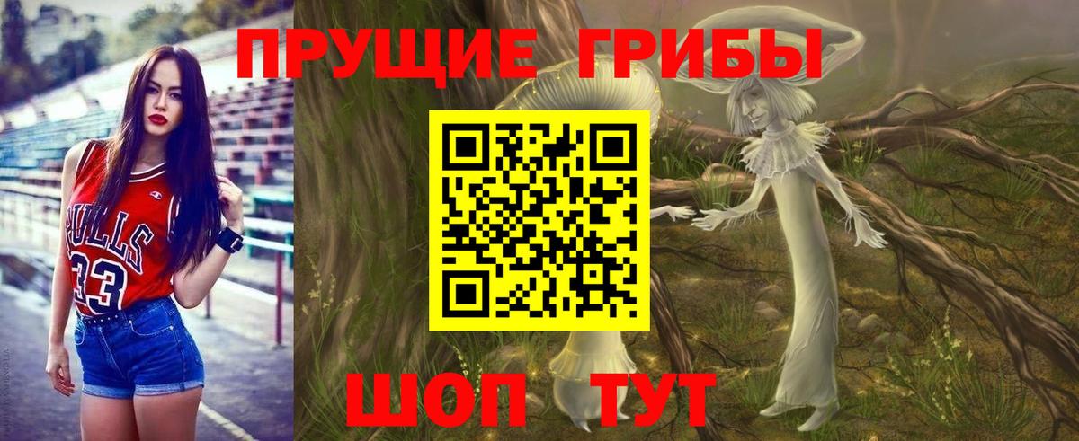 Галлюциногенные грибы прущие грибы Малоярославец