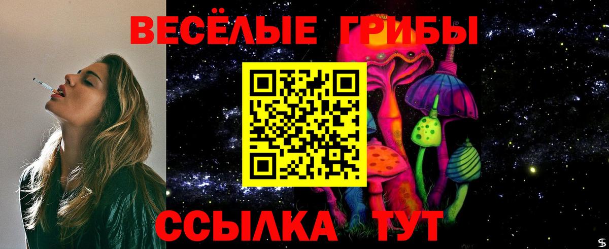 Псилоцибиновые грибы Psilocybine cubensis  Вход с VPN  Малоярославец 